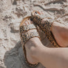 Wildcat Sands